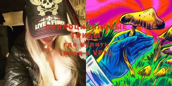 сатива Михайлов