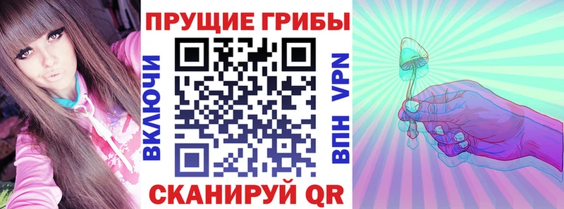 Купить где  Старый Оскол  Галлюциногенные грибы Magic Shrooms 